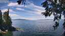 ./images/koeye/fitz-hugh/20260614/fitz-hugh20260614_124002M.jpg