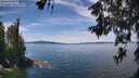 ./images/koeye/fitz-hugh/20260614/fitz-hugh20260614_130001M.jpg