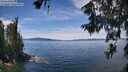 ./images/koeye/fitz-hugh/20260614/fitz-hugh20260614_130501M.jpg