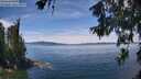 ./images/koeye/fitz-hugh/20260614/fitz-hugh20260614_131001M.jpg