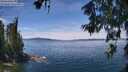 ./images/koeye/fitz-hugh/20260614/fitz-hugh20260614_131502M.jpg