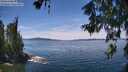 ./images/koeye/fitz-hugh/20260614/fitz-hugh20260614_132001M.jpg