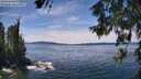 ./images/koeye/fitz-hugh/20260614/fitz-hugh20260614_134501M.jpg