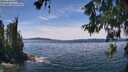 ./images/koeye/fitz-hugh/20260614/fitz-hugh20260614_135501M.jpg