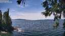 ./images/koeye/fitz-hugh/20260614/fitz-hugh20260614_140001M.jpg