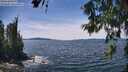 ./images/koeye/fitz-hugh/20260614/fitz-hugh20260614_140501M.jpg