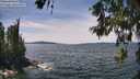 ./images/koeye/fitz-hugh/20260614/fitz-hugh20260614_141501M.jpg