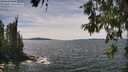 ./images/koeye/fitz-hugh/20260614/fitz-hugh20260614_143001M.jpg