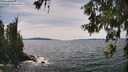 ./images/koeye/fitz-hugh/20260614/fitz-hugh20260614_144001M.jpg