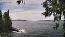 ./images/koeye/fitz-hugh/20260614/fitz-hugh20260614_145001M.jpg