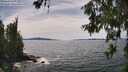 ./images/koeye/fitz-hugh/20260614/fitz-hugh20260614_150501M.jpg