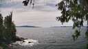 ./images/koeye/fitz-hugh/20260614/fitz-hugh20260614_151001M.jpg