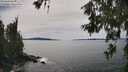./images/koeye/fitz-hugh/20260614/fitz-hugh20260614_152002M.jpg