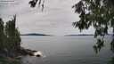 ./images/koeye/fitz-hugh/20260614/fitz-hugh20260614_153502M.jpg