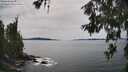 ./images/koeye/fitz-hugh/20260614/fitz-hugh20260614_154002M.jpg