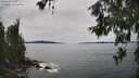 ./images/koeye/fitz-hugh/20260614/fitz-hugh20260614_154501M.jpg