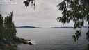 ./images/koeye/fitz-hugh/20260614/fitz-hugh20260614_155501M.jpg