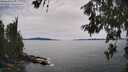 ./images/koeye/fitz-hugh/20260614/fitz-hugh20260614_160501M.jpg