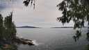 ./images/koeye/fitz-hugh/20260614/fitz-hugh20260614_161001M.jpg