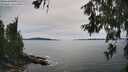 ./images/koeye/fitz-hugh/20260614/fitz-hugh20260614_162002M.jpg