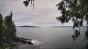 ./images/koeye/fitz-hugh/20260614/fitz-hugh20260614_162501M.jpg