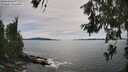 ./images/koeye/fitz-hugh/20260614/fitz-hugh20260614_163001M.jpg