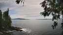 ./images/koeye/fitz-hugh/20260614/fitz-hugh20260614_163501M.jpg
