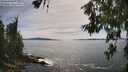 ./images/koeye/fitz-hugh/20260614/fitz-hugh20260614_164001M.jpg