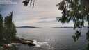 ./images/koeye/fitz-hugh/20260614/fitz-hugh20260614_164501M.jpg