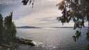 ./images/koeye/fitz-hugh/20260614/fitz-hugh20260614_165501M.jpg