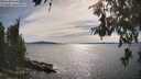 ./images/koeye/fitz-hugh/20260614/fitz-hugh20260614_170501M.jpg