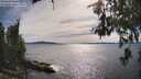 ./images/koeye/fitz-hugh/20260614/fitz-hugh20260614_171001M.jpg