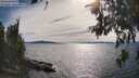 ./images/koeye/fitz-hugh/20260614/fitz-hugh20260614_171501M.jpg