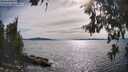./images/koeye/fitz-hugh/20260614/fitz-hugh20260614_172001M.jpg