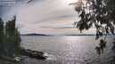 ./images/koeye/fitz-hugh/20260614/fitz-hugh20260614_172501M.jpg