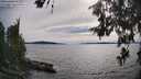 ./images/koeye/fitz-hugh/20260614/fitz-hugh20260614_173502M.jpg