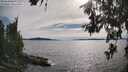 ./images/koeye/fitz-hugh/20260614/fitz-hugh20260614_174002M.jpg