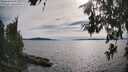 ./images/koeye/fitz-hugh/20260614/fitz-hugh20260614_174501M.jpg