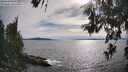 ./images/koeye/fitz-hugh/20260614/fitz-hugh20260614_175001M.jpg