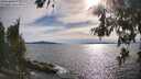 ./images/koeye/fitz-hugh/20260614/fitz-hugh20260614_175501M.jpg
