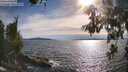 ./images/koeye/fitz-hugh/20260614/fitz-hugh20260614_180501M.jpg