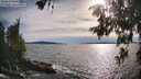 ./images/koeye/fitz-hugh/20260614/fitz-hugh20260614_181501M.jpg