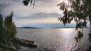 ./images/koeye/fitz-hugh/20260614/fitz-hugh20260614_182002M.jpg