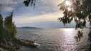 ./images/koeye/fitz-hugh/20260614/fitz-hugh20260614_183001M.jpg