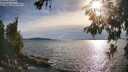 ./images/koeye/fitz-hugh/20260614/fitz-hugh20260614_183502M.jpg