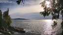 ./images/koeye/fitz-hugh/20260614/fitz-hugh20260614_184002M.jpg