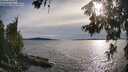./images/koeye/fitz-hugh/20260614/fitz-hugh20260614_184501M.jpg