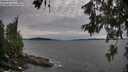 ./images/koeye/fitz-hugh/20260614/fitz-hugh20260614_191001M.jpg
