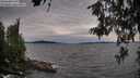./images/koeye/fitz-hugh/20260614/fitz-hugh20260614_192501M.jpg