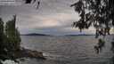 ./images/koeye/fitz-hugh/20260614/fitz-hugh20260614_193002M.jpg